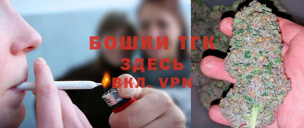 ECSTASY Медногорск