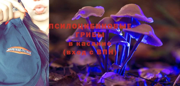 ECSTASY Медногорск