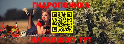 трава Бийск