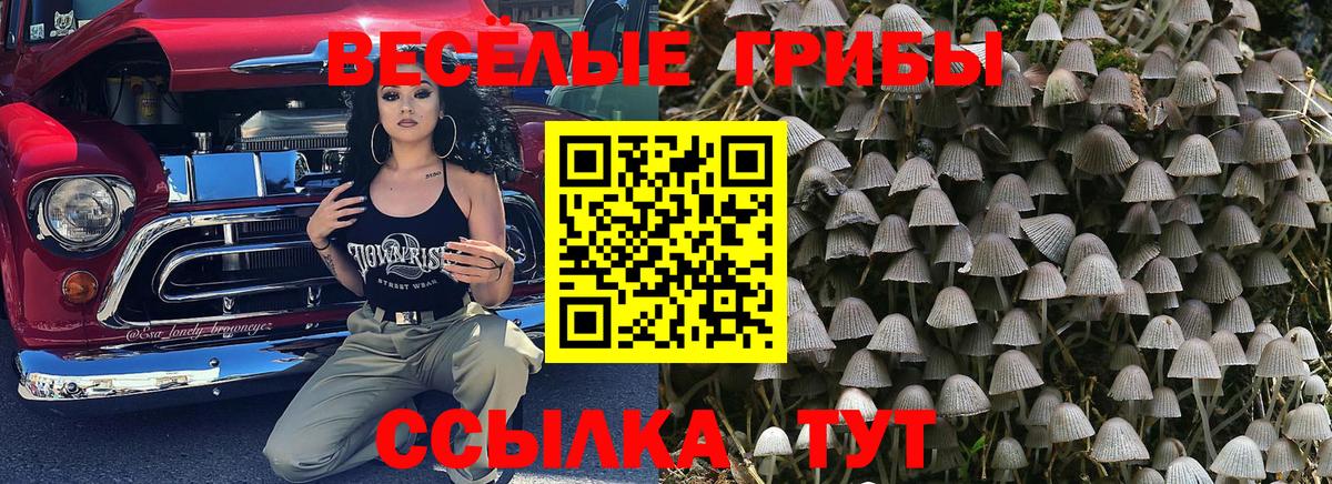 Галлюциногенные грибы Cubensis  Псилоцибиновые грибы Cubensis  Ульяновск  цены   Вход с VPN 