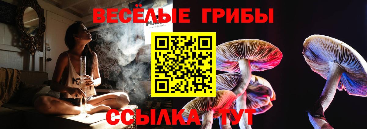 Галлюциногенные грибы Psilocybine cubensis Ульяновск